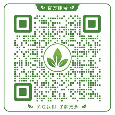 探花